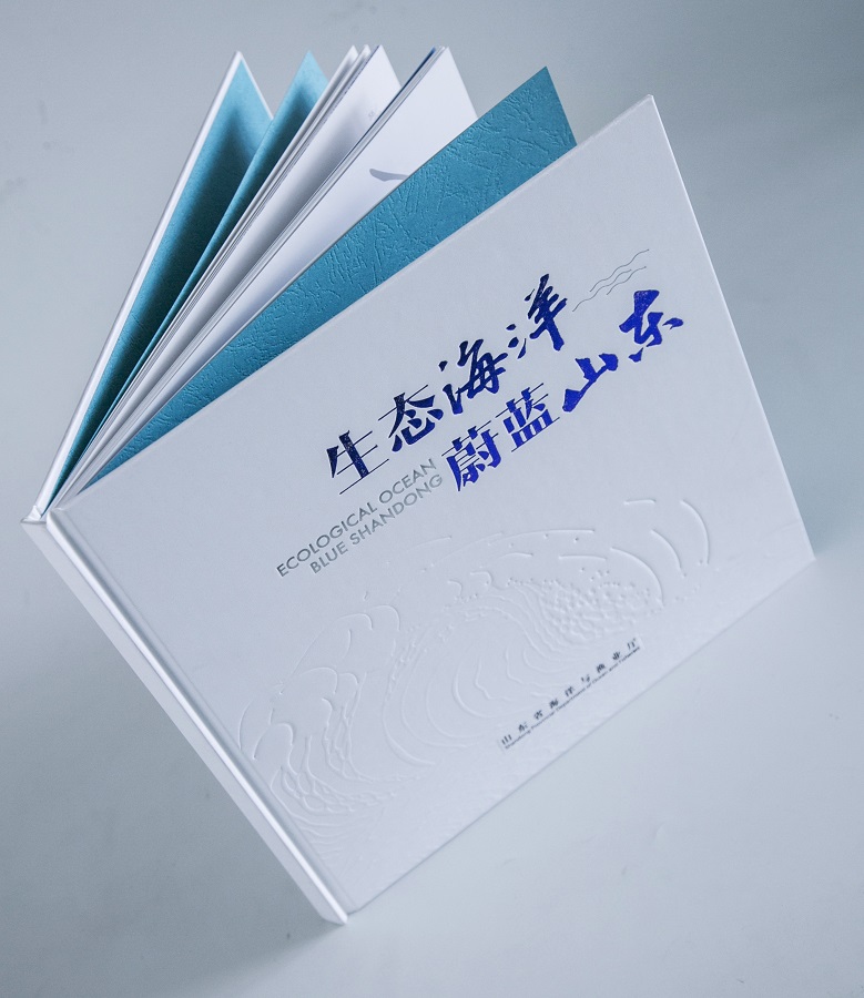 AW9A2705 - 副本.jpg