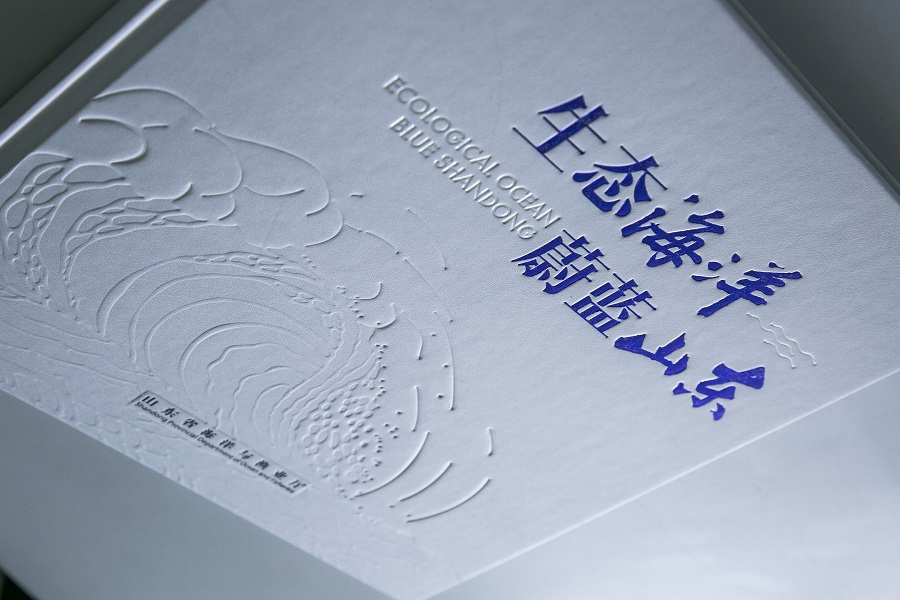 AW9A2706 - 副本.jpg