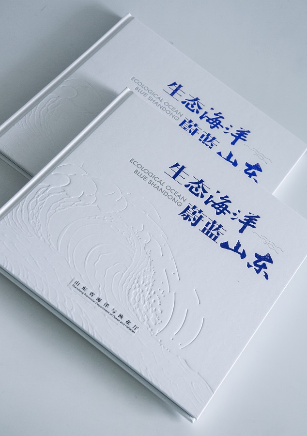 AW9A2703 - 副本.jpg